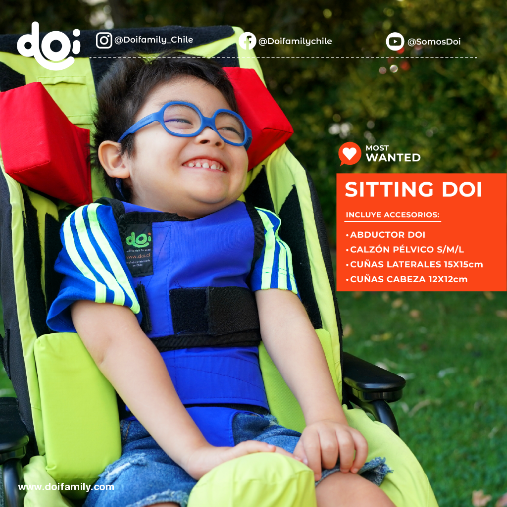 Sitting Control Postural DOI